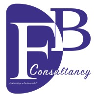 DFB Consultancy Logo