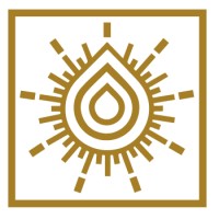 Vidium Solutions Logo