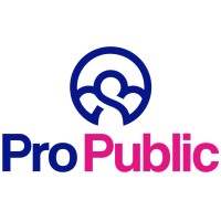 Pro-Public.nl Logo