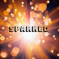 SparkEd Consulting, LLC Logo