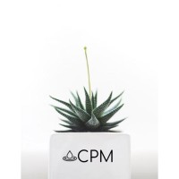 Clinique de psychologie multiservices Logo