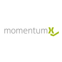 momentumX_de Logo
