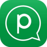 Pinngle Safe Messenger Logo
