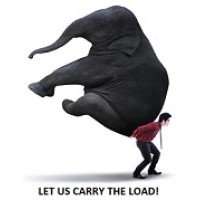 Spring Systems Inc. Logo