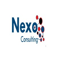 Nexo Consulting (PTY) LTD Logo