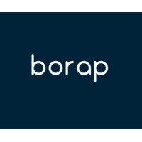 Borap Consultoria Logo