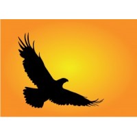 Direct Recovery Associates Logo