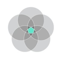 Early Insights Logo
