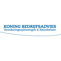 Koning Bedrijfsadvies Haarlem B.V. Logo