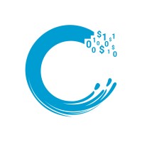 C Level Analytics Logo