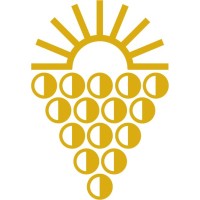 SCHERER & BÜHLER AG Logo