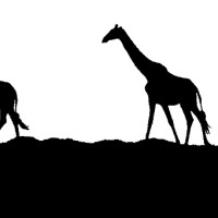 The Ark Wildlife Logo