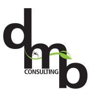 ing. Massimo Di Martino - DMB Consulting Logo