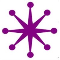 ANISE Consulting Logo