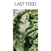 Last Food Logo