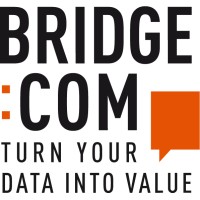 bridge:com Logo