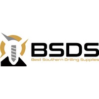 BSDS Logo