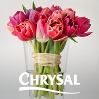 Chrysal International BV Logo