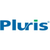 Pluris Valuation Advisors LLC Logo