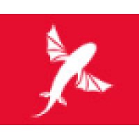 Pure Action Sports Logo