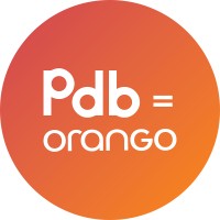 Pdb Datasystem AB Logo