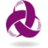 Med Exec International Logo