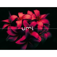 Umi bulle de création graphique Logo