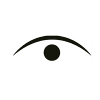 Texan Eye Logo