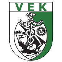 Vlaamse Economische Kring Logo