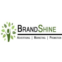 Brand Shine Info Solutions Logo