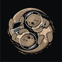 The Otter Space Logo