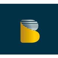 Botho Emerging Markets Group Logo