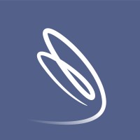 Dragonfly Strategists Logo