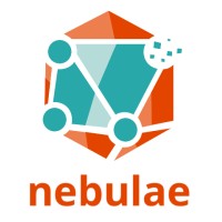 Nebulae Digital Logo