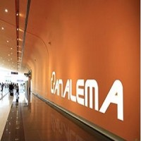 Analema International CO LTD Logo