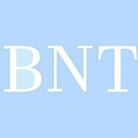 Blue Nile Trading Logo