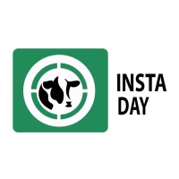 INSTADAY Logo