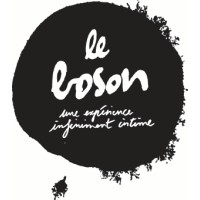 Le boson Logo