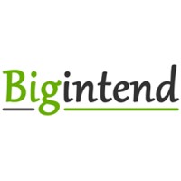 Bigintend Logo