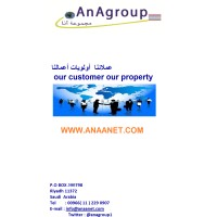 ANA GROUP Logo