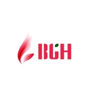 BGH Group (China) Logo