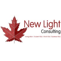 New Light Consulting Logo