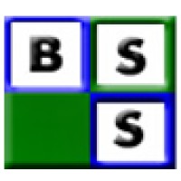 Business Strategic Solutions Logo