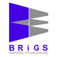 Brigs Espro Services Pvt Ltd Logo