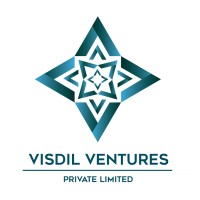Visdil Ventures Private Limited Logo
