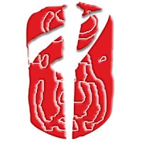 Design & Digital Technology Services Ltd. Logo