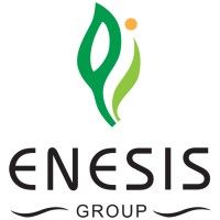 ENESIS GROUP Logo