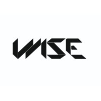 Wise Vehicle Testing Solutions Pvt. Ltd. Logo