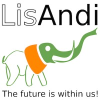 LisAndi Co Ltd Logo