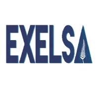 EXELSA Logo